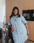Darina Denim Dress